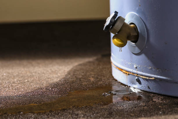 Best Water damage restoration near me  in Live Oak, CA