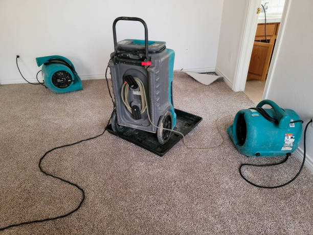 Best Basement water damage restoration  in Live Oak, CA