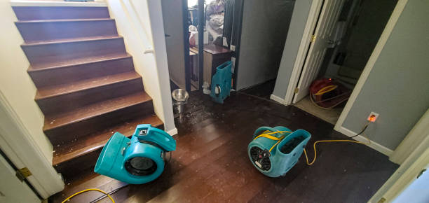 Best 24-hour water damage restoration  in Live Oak, CA
