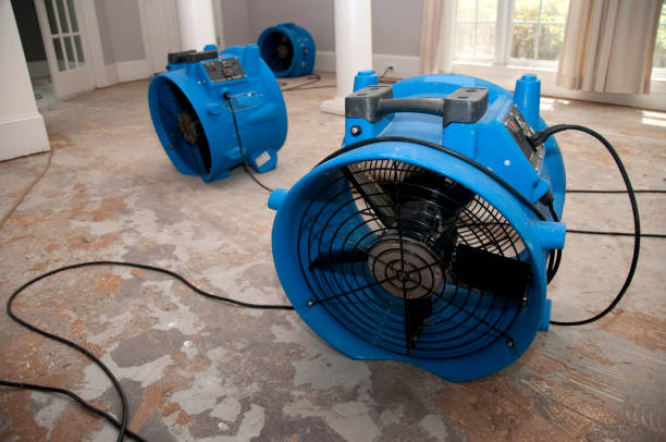 Best Water damage repair service  in Live Oak, CA