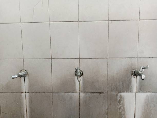 Best Water damage restoration near me  in Live Oak, CA